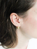 Roden Hoops