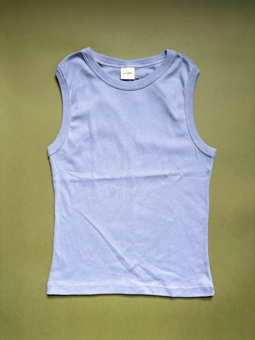 Calomel Mallki Top in Purple